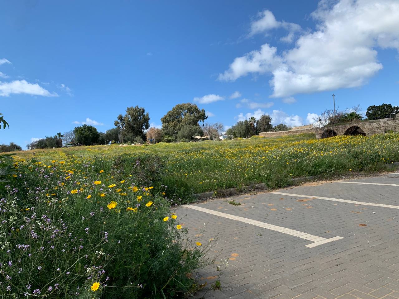 photo1678276195 (19).jpeg